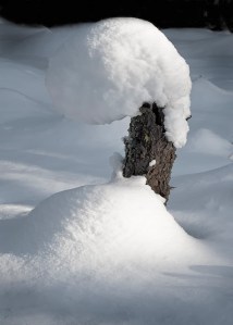 Snow & Light Sculpture