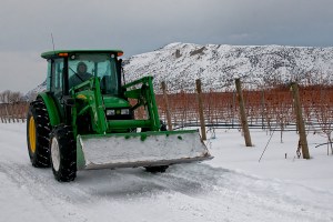 Vineyard tractor