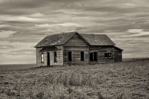 forgotten in the storm b