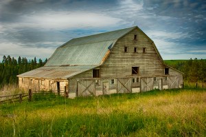 Neglected barn
