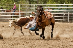 Root for who ya want...