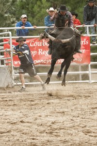 Maybe this is why they call bull riding dangerous. Ya wouldn't this that big fell could jump that high.