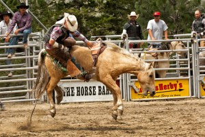 I think that horse is smiling.