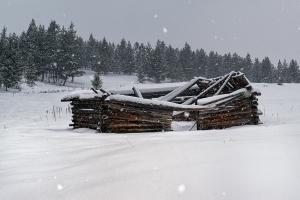Log building in snow