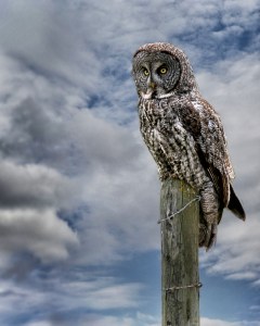 I removed the dim, flat, busy background.