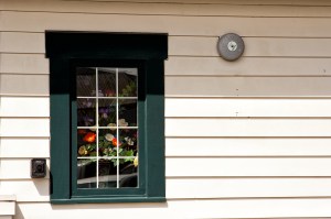 Framed flowers & Alarm