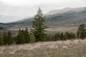 A wet road to Kamloops