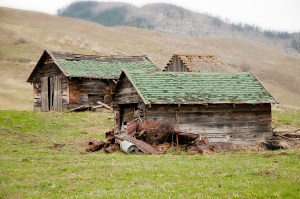 Forgotten in the rain