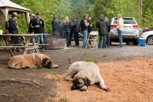Resting after the wedding