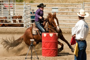 Barrel horse & Rider