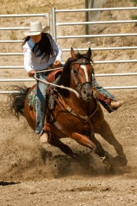 Barrel Rider