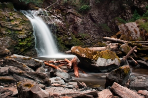 Chase falls in August