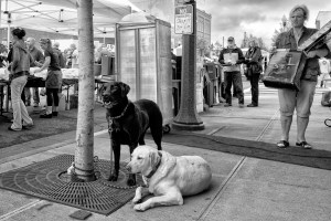 Waiting at the Festival