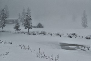 Farm & Pond in fog 2