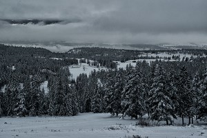 Pritchard above the fog 2