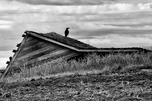 Sentinal after the fall