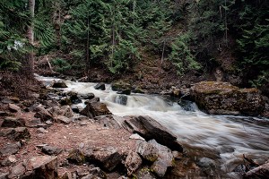 Chase Creek April 2015