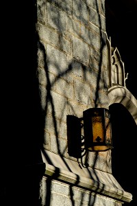 LIght in the shadows