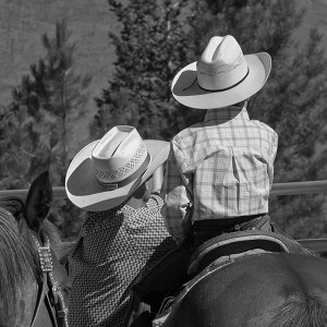 Watching the Rodeo