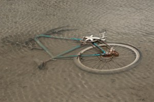 %22I rode my bicycle pat your window last night%22