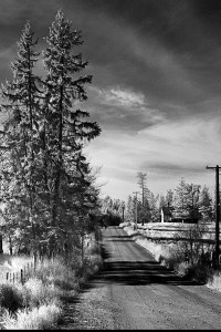 Along the back road 2