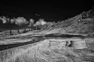 Bales along the road 2