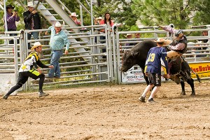 Bull Rider 2