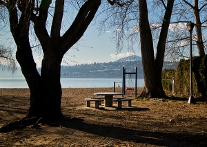 beach-bench-solitude